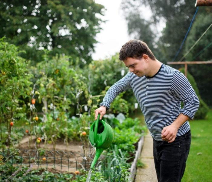 Daily Task Shared Living 9